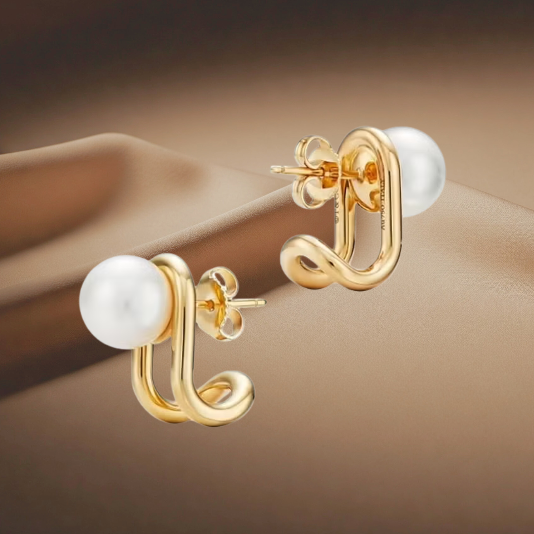 The Earring Episode: A Glimpse into Political Outrage